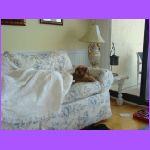 Hazel Supervising.jpg